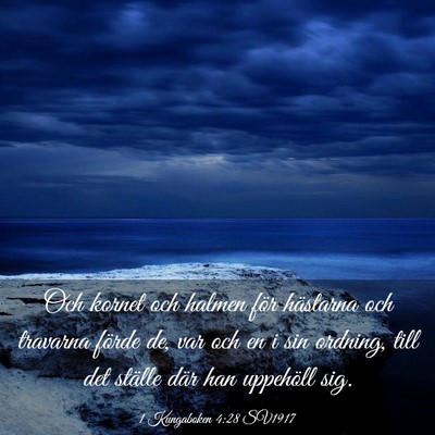 Picture 03 - 1 Kungaboken 4:28 SV1917 - Och kornet och halmen för hästarna och travarna - Bible Verse Picture