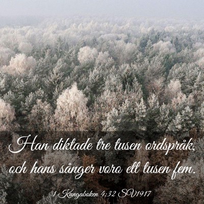 Picture 03 - 1 Kungaboken 4:32 SV1917 - Han diktade tre tusen ordspråk, och hans sånger - Bible Verse Picture