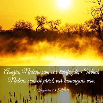 Picture 03 - 1 Kungaboken 4:5 SV1917 - Asarja, Natans son, var överfogde; Sabud, Natans - Bible Verse Picture