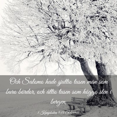 Picture 03 - 1 Kungaboken 5:15 SV1917 - Och Salomo hade sjuttio tusen män som buro - Bible Verse Picture