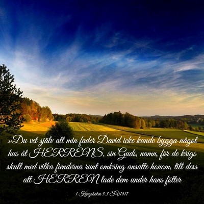 Picture 03 - 1 Kungaboken 5:3 SV1917 - »Du vet själv att min fader David icke kunde - Bible Verse Picture