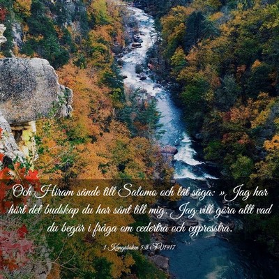 Picture 03 - 1 Kungaboken 5:8 SV1917 - Och Hiram sände till Salomo och lät säga: - Bible Verse Picture