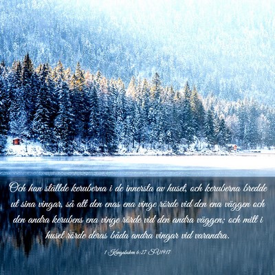 Picture 03 - 1 Kungaboken 6:27 SV1917 - Och han ställde keruberna i de innersta av - Bible Verse Picture