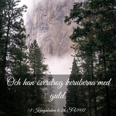 Picture 03 - 1 Kungaboken 6:28 SV1917 - Och han överdrog keruberna med - Bible Verse Picture