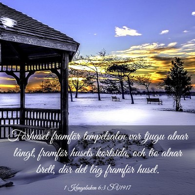Picture 03 - 1 Kungaboken 6:3 SV1917 - Förhuset framför tempelsalen var tjugu alnar - Bible Verse Picture