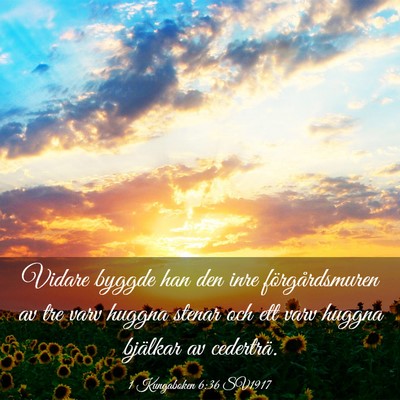Picture 03 - 1 Kungaboken 6:36 SV1917 - Vidare byggde han den inre förgårdsmuren av tre - Bible Verse Picture