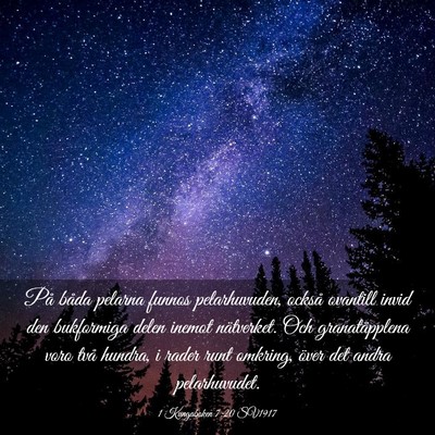 Picture 03 - 1 Kungaboken 7:20 SV1917 - På båda pelarna funnos pelarhuvuden, också - Bible Verse Picture