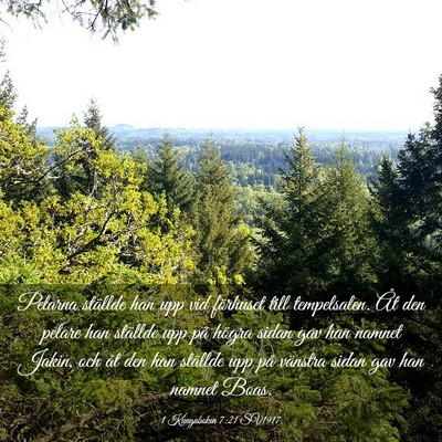 Picture 03 - 1 Kungaboken 7:21 SV1917 - Pelarna ställde han upp vid förhuset till - Bible Verse Picture