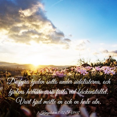 Picture 03 - 1 Kungaboken 7:32 SV1917 - De fyra hjulen sutto under sidolisterna, och - Bible Verse Picture