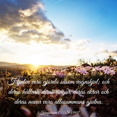 Picture 03 - 1 Kungaboken 7:33 SV1917 - Hjulen voro gjorda såsom vagnshjul; och deras - Bible Verse Picture