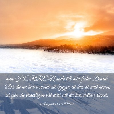 Picture 03 - 1 Kungaboken 8:18 SV1917 - men HERREN sade till min fader David: 'Då du nu - Bible Verse Picture