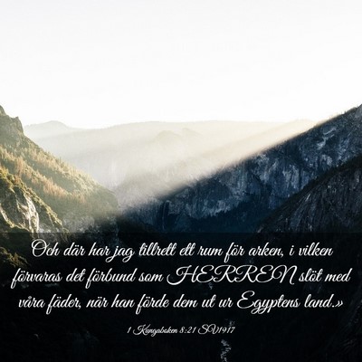Picture 03 - 1 Kungaboken 8:21 SV1917 - Och där har jag tillrett ett rum för arken, i - Bible Verse Picture