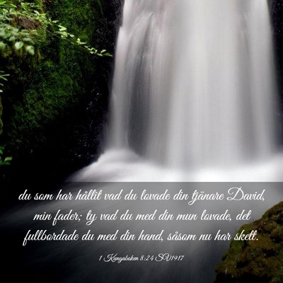 Picture 03 - 1 Kungaboken 8:24 SV1917 - du som har hållit vad du lovade din tjänare - Bible Verse Picture