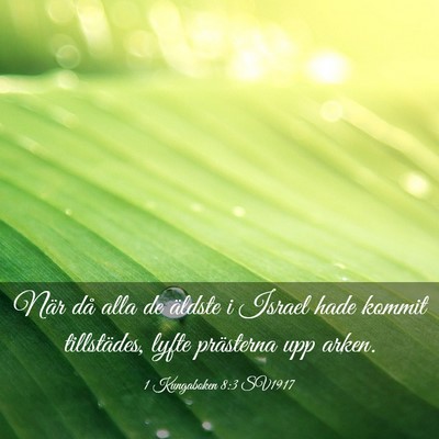 Picture 03 - 1 Kungaboken 8:3 SV1917 - När då alla de äldste i Israel hade kommit - Bible Verse Picture