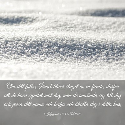 Picture 03 - 1 Kungaboken 8:33 SV1917 - Om ditt folk Israel bliver slaget av en fiende, - Bible Verse Picture