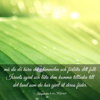 Picture 03 - 1 Kungaboken 8:34 SV1917 - må du då höra det i himmelen och förlåta - Bible Verse Picture