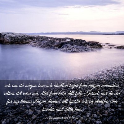 Picture 03 - 1 Kungaboken 8:38 SV1917 - och om då någon bön och åkallan höjes från - Bible Verse Picture