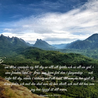 Picture 03 - 1 Kungaboken 8:48 SV1917 - om de så omvända sig till dig av allt sitt - Bible Verse Picture