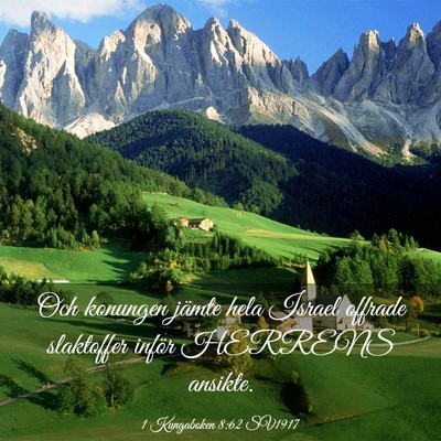 Picture 03 - 1 Kungaboken 8:62 SV1917 - Och konungen jämte hela Israel offrade - Bible Verse Picture