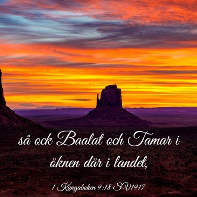 Picture 03 - 1 Kungaboken 9:18 SV1917 - så ock Baalat och Tamar i öknen där i - Bible Verse Picture