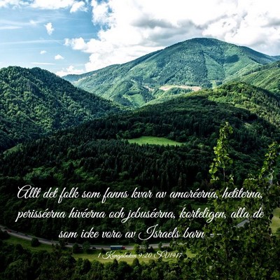 Picture 03 - 1 Kungaboken 9:20 SV1917 - Allt det folk som fanns kvar av amoréerna, - Bible Verse Picture