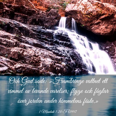 Picture 03 - 1 Mosebok 1:20 SV1917 - Och Gud sade: »Frambringe vattnet ett vimmel av - Bible Verse Picture
