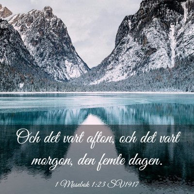 Picture 03 - 1 Mosebok 1:23 SV1917 - Och det vart afton, och det vart morgon, den - Bible Verse Picture