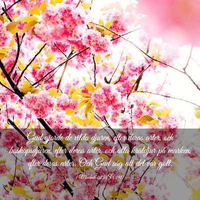 Picture 03 - 1 Mosebok 1:25 SV1917 - Gud gjorde de vilda djuren, efter deras arter, - Bible Verse Picture