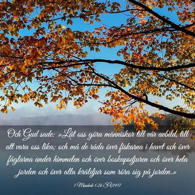 Picture 03 - 1 Mosebok 1:26 SV1917 - Och Gud sade: »Låt oss göra människor till - Bible Verse Picture