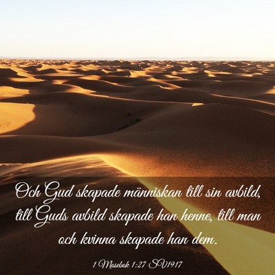 Picture 03 - 1 Mosebok 1:27 SV1917 - Och Gud skapade människan till sin avbild, till - Bible Verse Picture