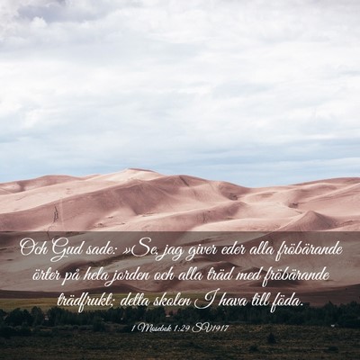 Picture 03 - 1 Mosebok 1:29 SV1917 - Och Gud sade: »Se, jag giver eder alla - Bible Verse Picture