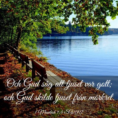 Picture 03 - 1 Mosebok 1:4 SV1917 - Och Gud såg att ljuset var gott; och Gud skilde - Bible Verse Picture