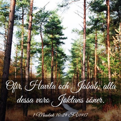 Picture 03 - 1 Mosebok 10:29 SV1917 - Ofir, Havila och Jobab; alla dessa voro Joktans - Bible Verse Picture
