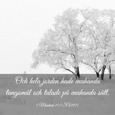 Picture 03 - 1 Mosebok 11:1 SV1917 - Och hela jorden hade enahanda tungomål och - Bible Verse Picture