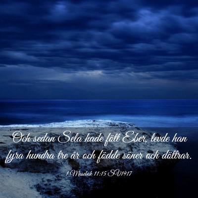 Picture 03 - 1 Mosebok 11:15 SV1917 - Och sedan Sela hade fött Eber, levde han fyra - Bible Verse Picture