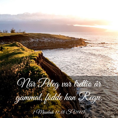 Picture 03 - 1 Mosebok 11:18 SV1917 - När Peleg var trettio år gammal, födde han - Bible Verse Picture