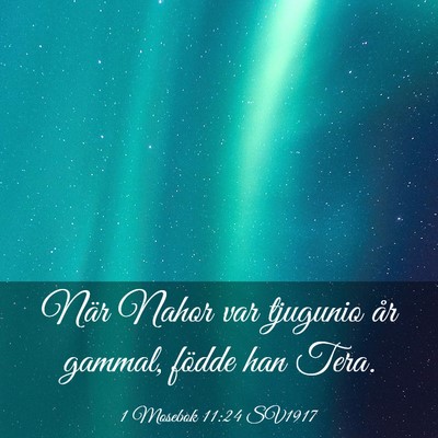 Picture 03 - 1 Mosebok 11:24 SV1917 - När Nahor var tjugunio år gammal, födde han - Bible Verse Picture