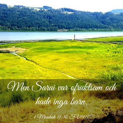 Picture 03 - 1 Mosebok 11:30 SV1917 - Men Sarai var ofruktsam och hade inga - Bible Verse Picture