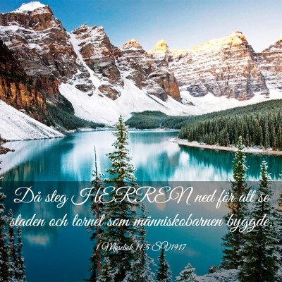 Picture 03 - 1 Mosebok 11:5 SV1917 - Då steg HERREN ned för att se staden och tornet - Bible Verse Picture
