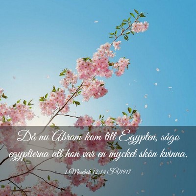 Picture 03 - 1 Mosebok 12:14 SV1917 - Då nu Abram kom till Egypten, sågo egyptierna - Bible Verse Picture