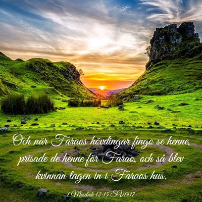 Picture 03 - 1 Mosebok 12:15 SV1917 - Och när Faraos hövdingar fingo se henne, - Bible Verse Picture