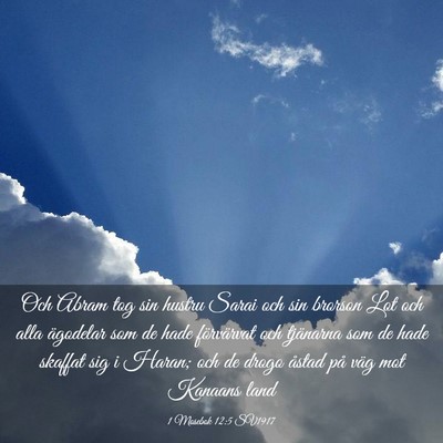 Picture 03 - 1 Mosebok 12:5 SV1917 - Och Abram tog sin hustru Sarai och sin brorson - Bible Verse Picture