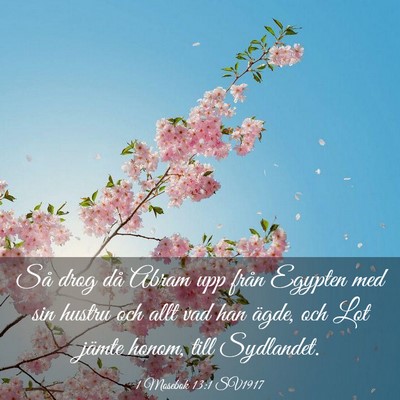 Picture 03 - 1 Mosebok 13:1 SV1917 - Så drog då Abram upp från Egypten med sin - Bible Verse Picture