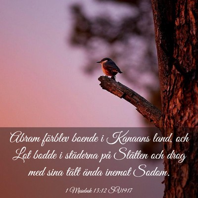 Picture 03 - 1 Mosebok 13:12 SV1917 - Abram förblev boende i Kanaans land, och Lot - Bible Verse Picture