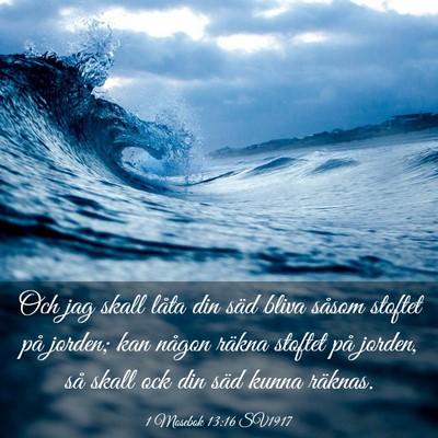 Picture 03 - 1 Mosebok 13:16 SV1917 - Och jag skall låta din säd bliva såsom stoftet - Bible Verse Picture
