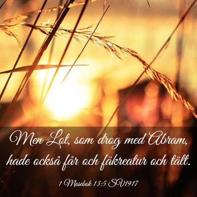 Picture 03 - 1 Mosebok 13:5 SV1917 - Men Lot, som drog med Abram, hade också får och - Bible Verse Picture