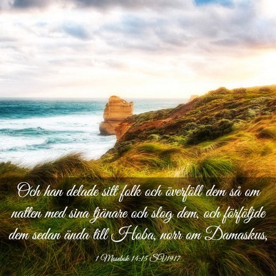 Picture 03 - 1 Mosebok 14:15 SV1917 - Och han delade sitt folk och överföll dem så - Bible Verse Picture