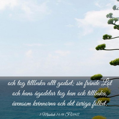 Picture 03 - 1 Mosebok 14:16 SV1917 - och tog tillbaka allt godset; sin frände Lot och - Bible Verse Picture
