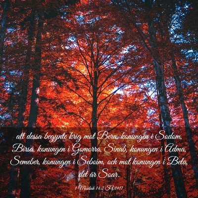 Picture 03 - 1 Mosebok 14:2 SV1917 - att dessa begynte krig mot Bera, konungen i - Bible Verse Picture