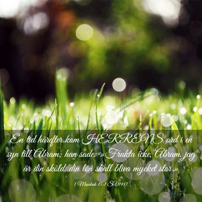 Picture 03 - 1 Mosebok 15:1 SV1917 - En tid härefter kom HERRENS ord i en syn till - Bible Verse Picture
